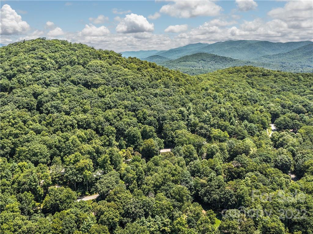 11 Parkview Drive Asheville NC 28805