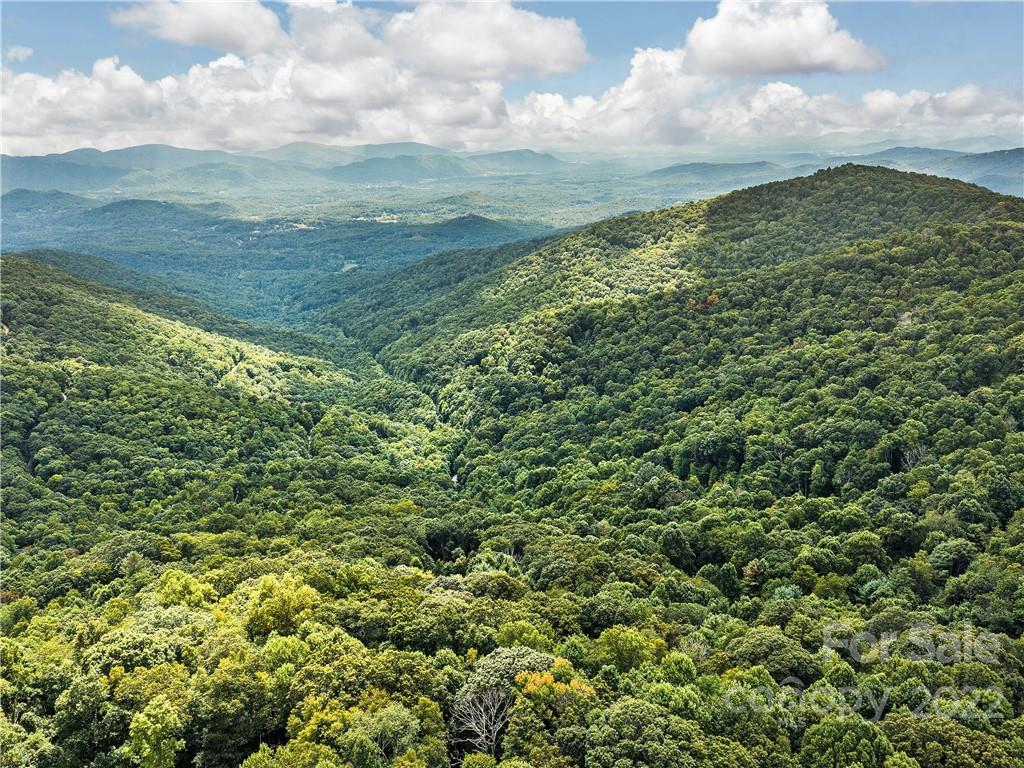 35 Hickory Forest Lane Fairview NC 28730