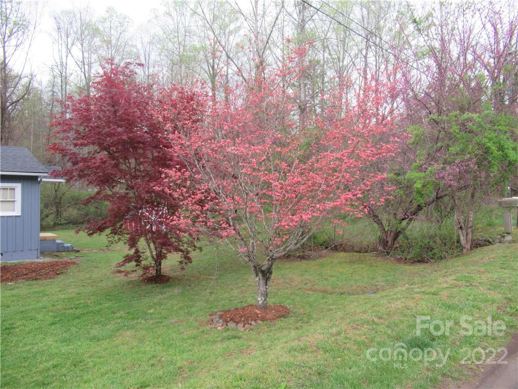 269 Forsythe Street Marion NC 28752