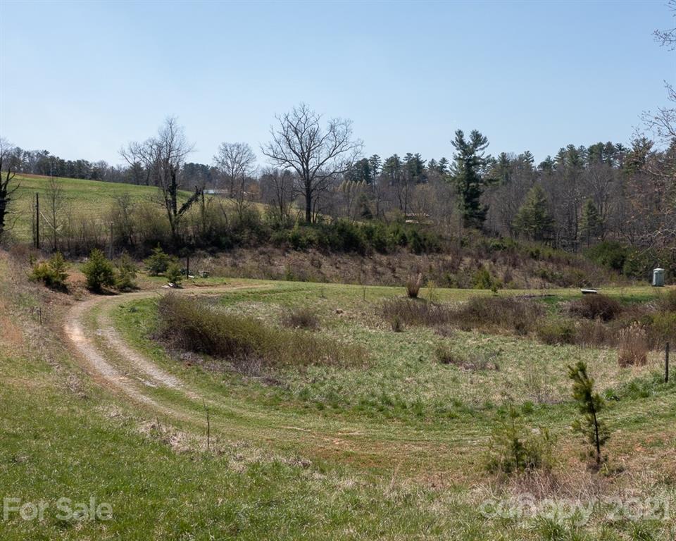 45 Wilse Silvers Drive Weaverville NC 28787