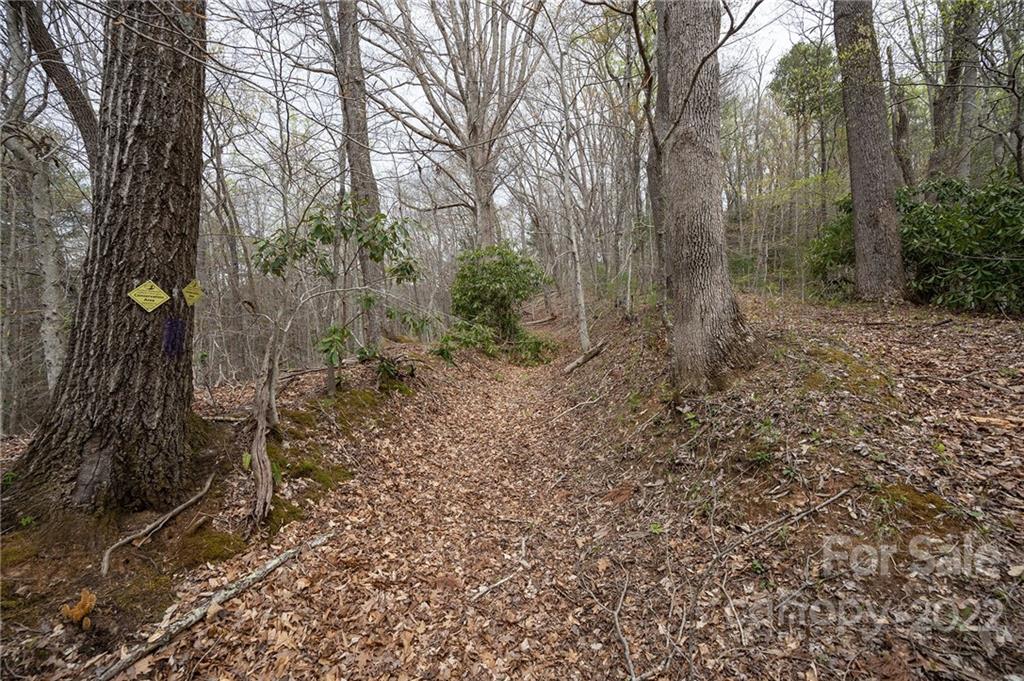 540 Old Bee Tree Road Swannanoa NC 28778