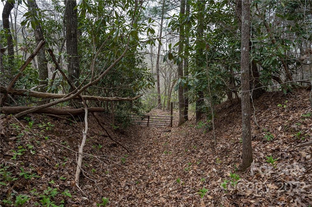 540 Old Bee Tree Road Swannanoa NC 28778