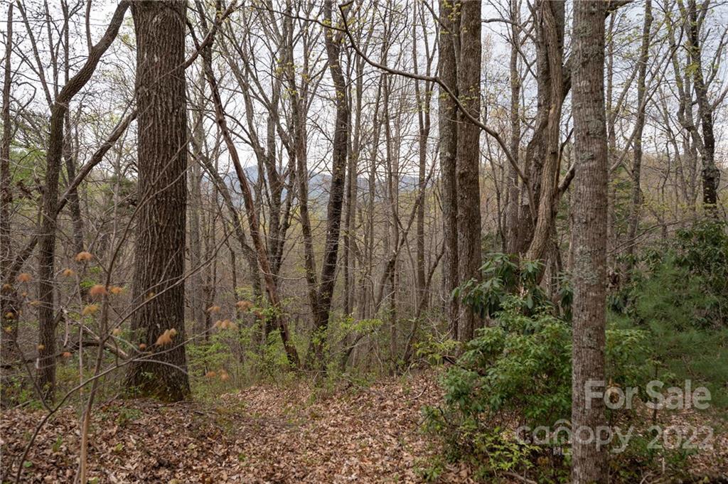 540 Old Bee Tree Road Swannanoa NC 28778