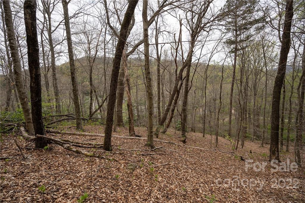540 Old Bee Tree Road Swannanoa NC 28778
