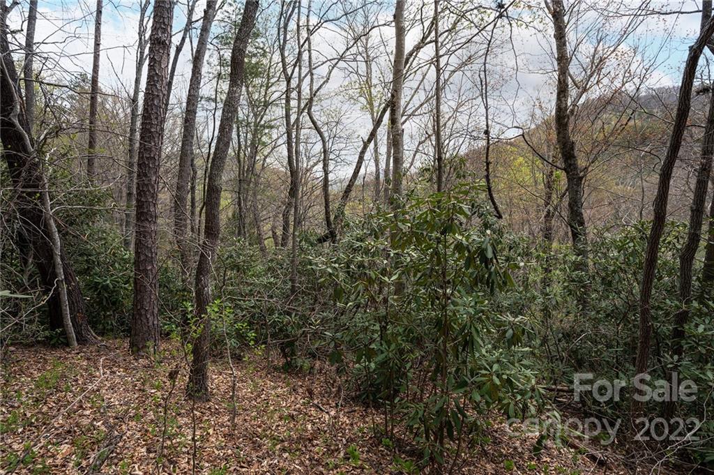 540 Old Bee Tree Road Swannanoa NC 28778