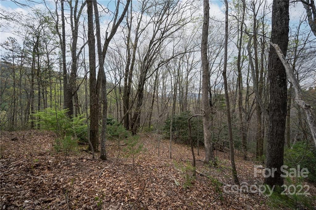 540 Old Bee Tree Road Swannanoa NC 28778