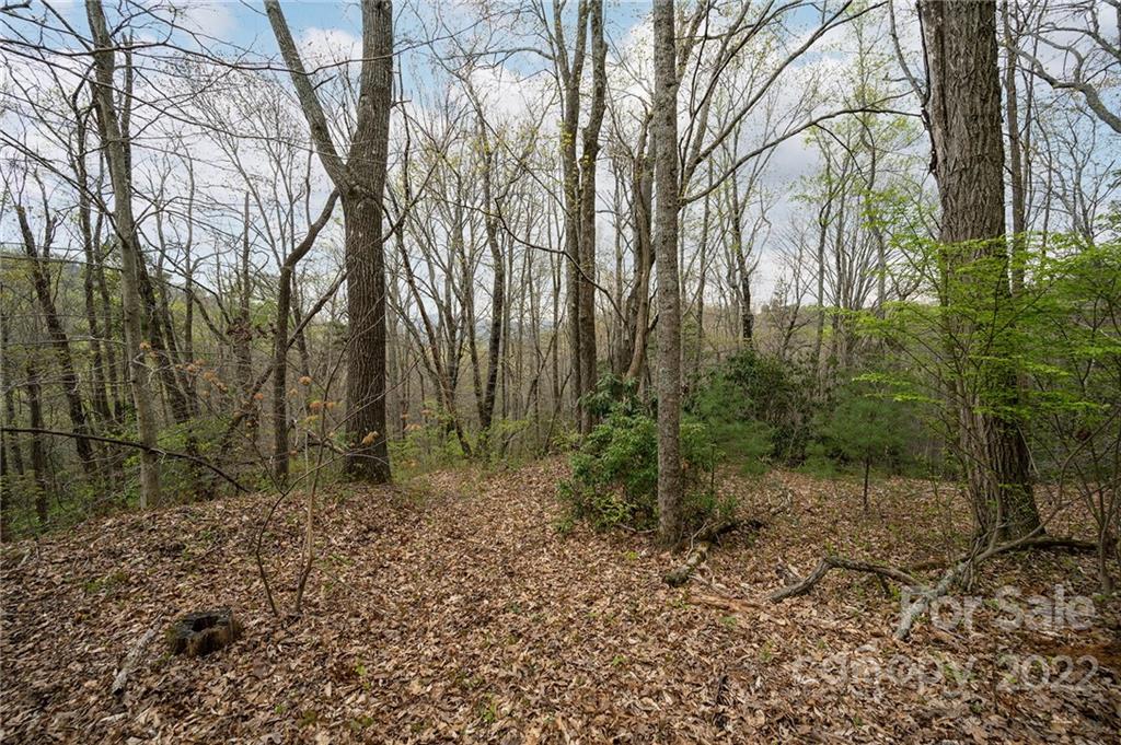 540 Old Bee Tree Road Swannanoa NC 28778