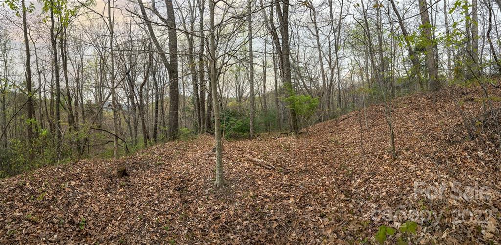 540 Old Bee Tree Road Swannanoa NC 28778