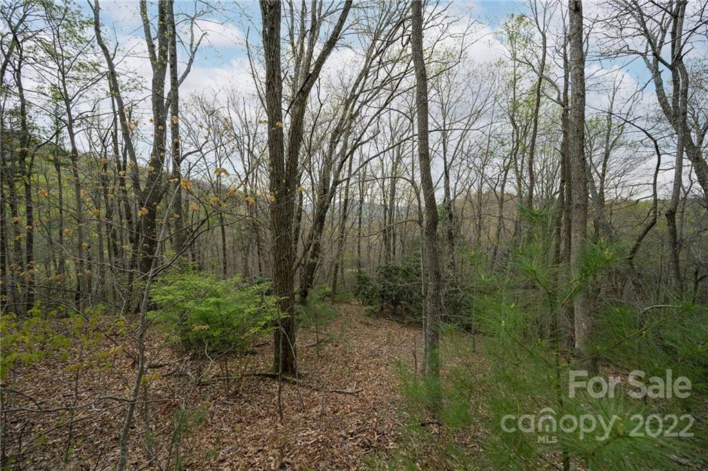 540 Old Bee Tree Road Swannanoa NC 28778