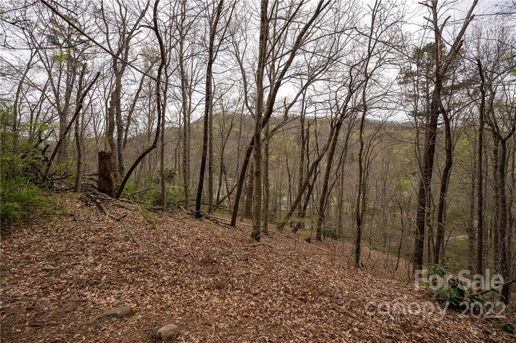 540 Old Bee Tree Road Swannanoa NC 28778