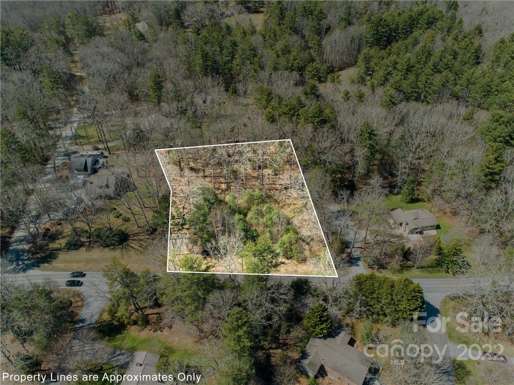 297 S Rugby Road Hendersonville NC 28791