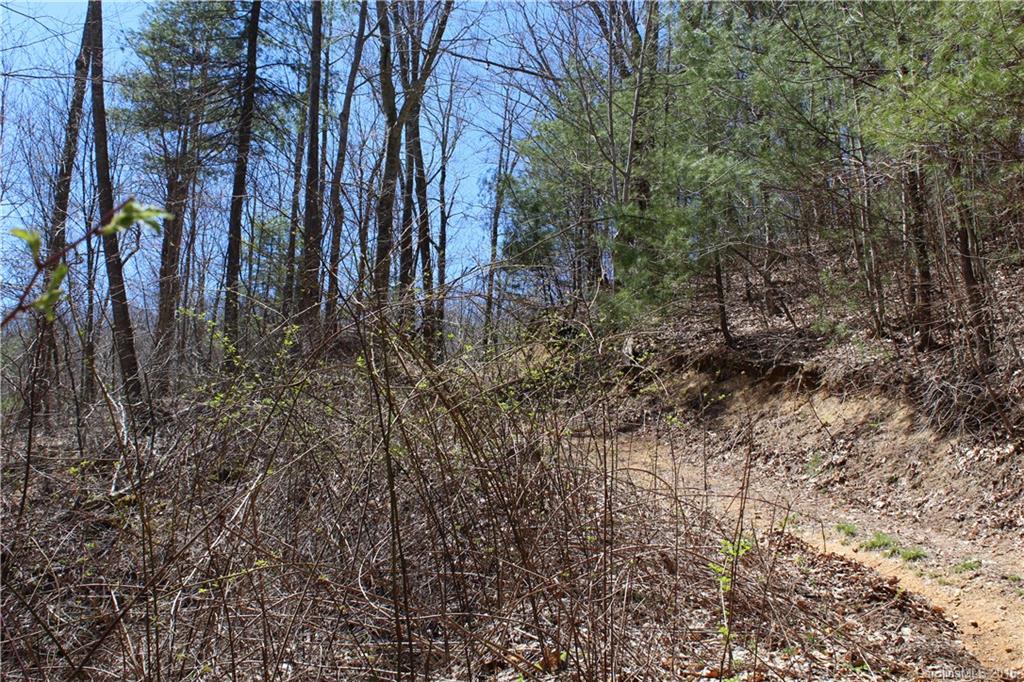 527 Lisenbee Road Marshall NC 28753