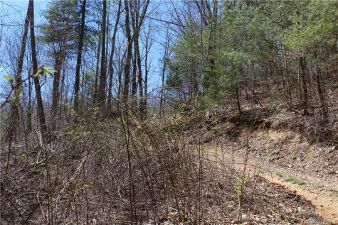 527 Lisenbee Road Marshall NC 28753