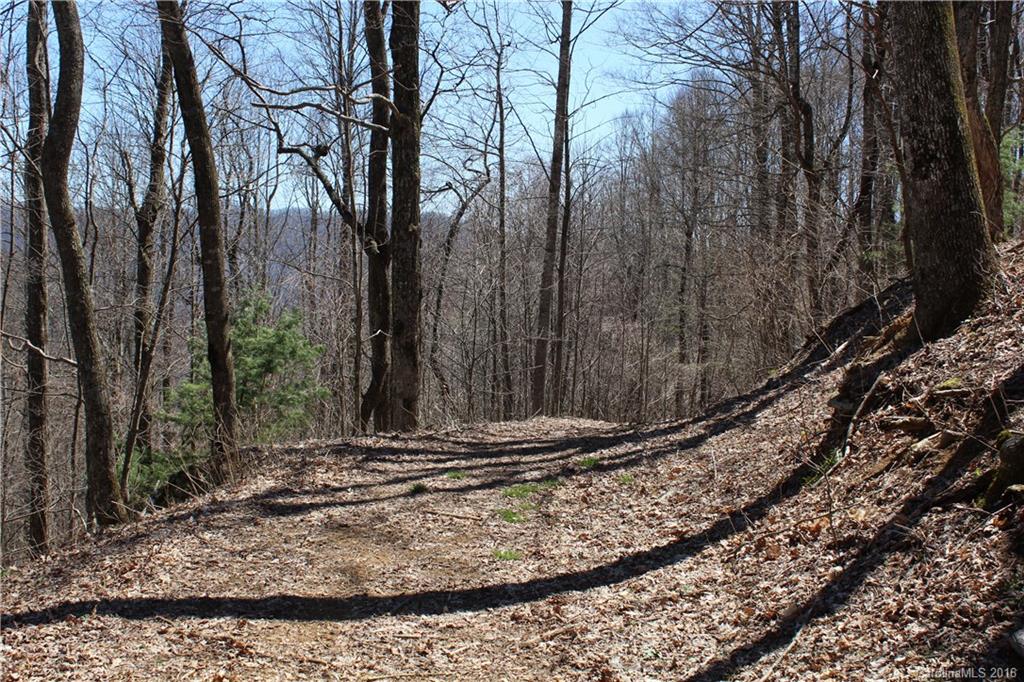 527 Lisenbee Road Marshall NC 28753