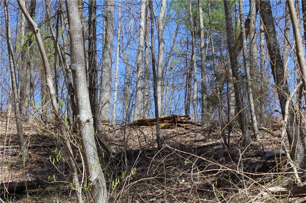 527 Lisenbee Road Marshall NC 28753