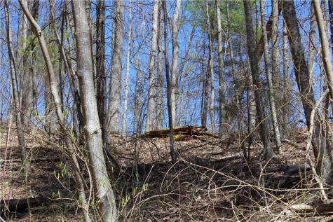 527 Lisenbee Road Marshall NC 28753
