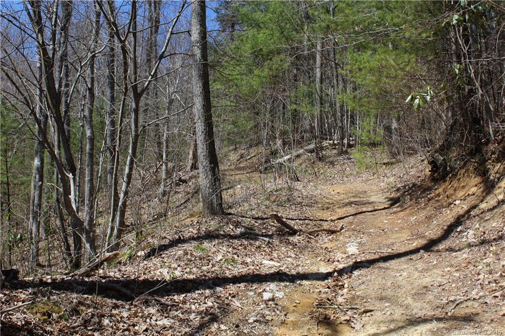 527 Lisenbee Road Marshall NC 28753