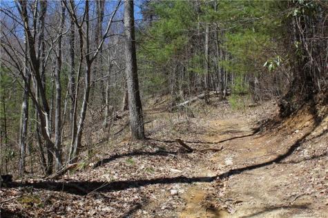 527 Lisenbee Road Marshall NC 28753