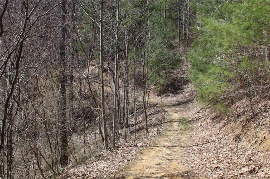 527 Lisenbee Road Marshall NC 28753