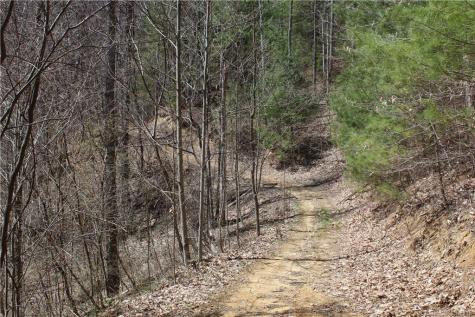 527 Lisenbee Road Marshall NC 28753