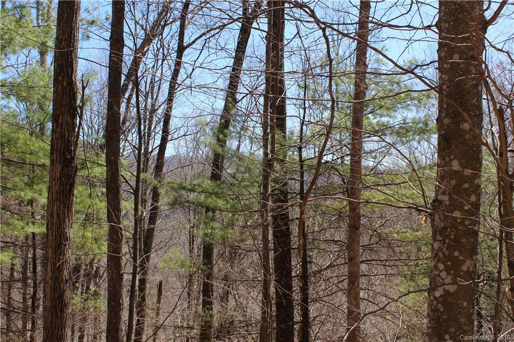 527 Lisenbee Road Marshall NC 28753