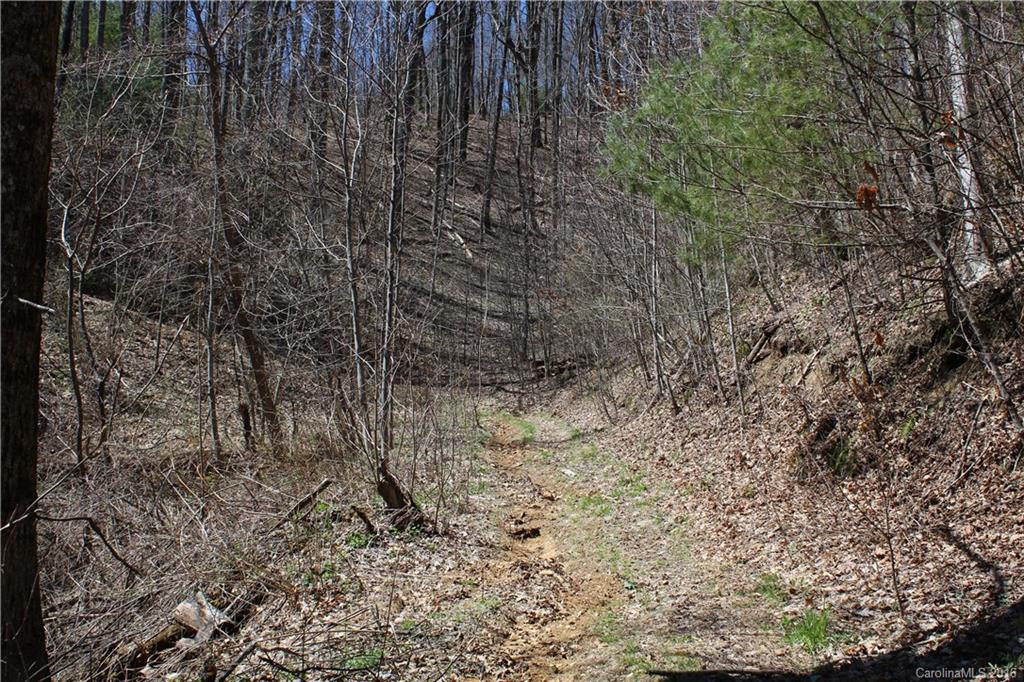 527 Lisenbee Road Marshall NC 28753
