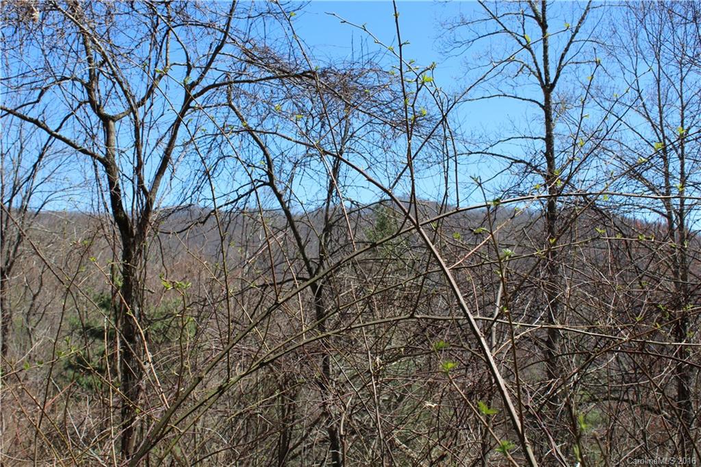 527 Lisenbee Road Marshall NC 28753