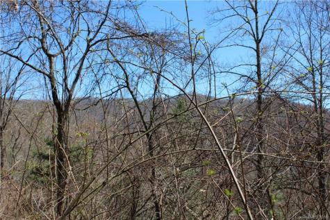 527 Lisenbee Road Marshall NC 28753