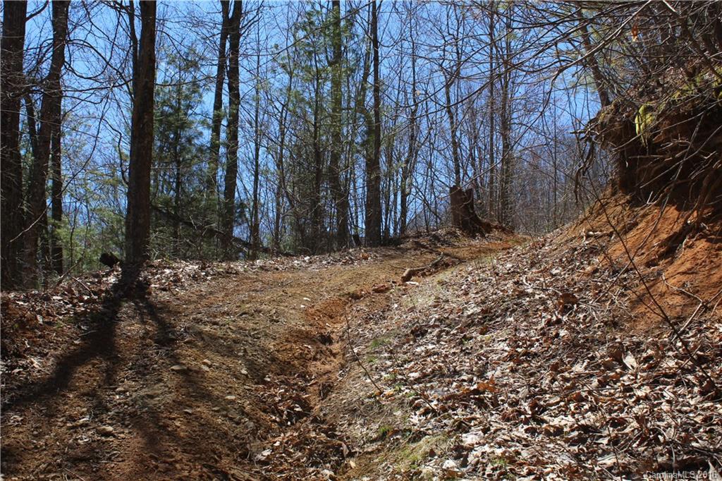 527 Lisenbee Road Marshall NC 28753