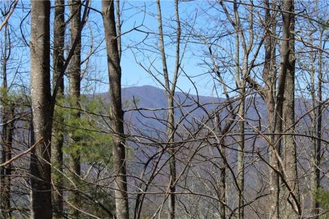 527 Lisenbee Road Marshall NC 28753
