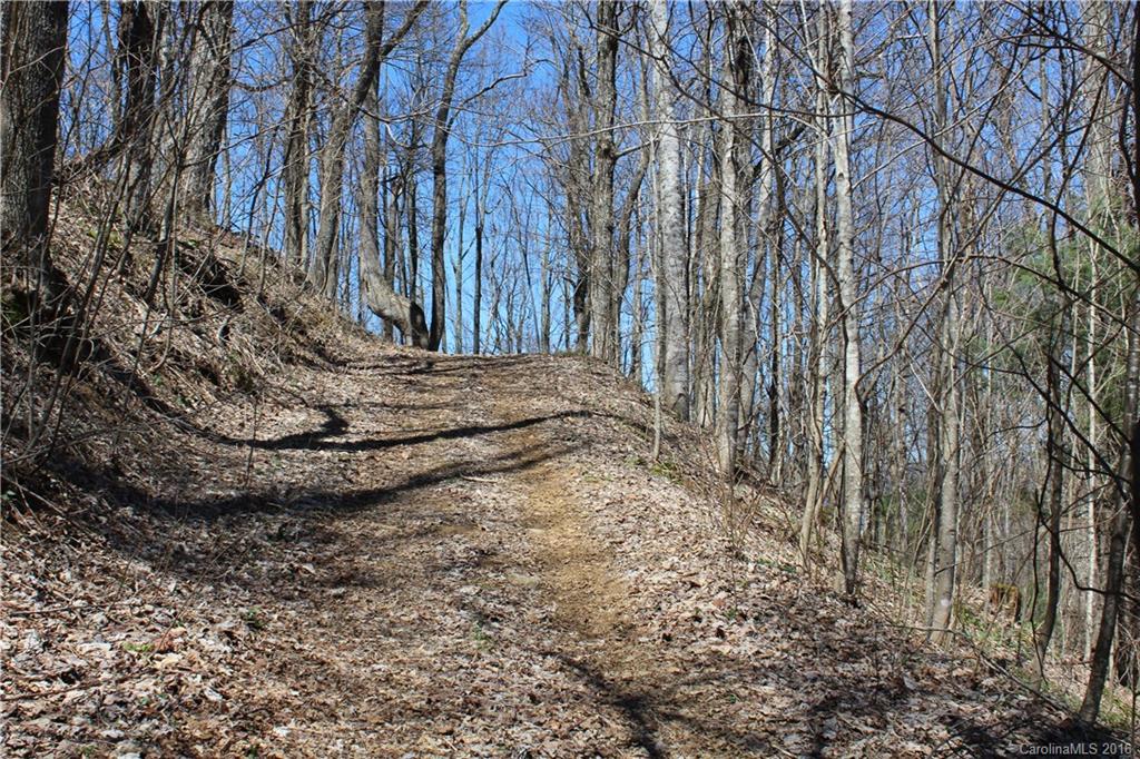 527 Lisenbee Road Marshall NC 28753