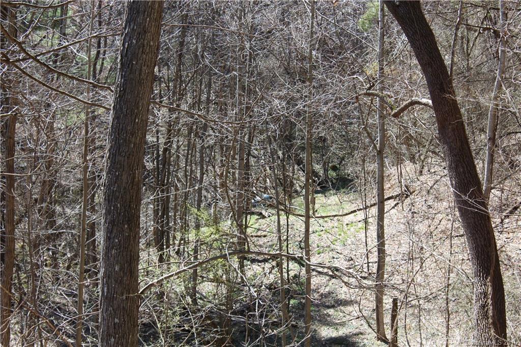 527 Lisenbee Road Marshall NC 28753