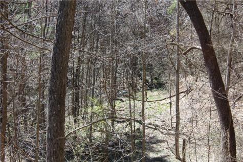 527 Lisenbee Road Marshall NC 28753