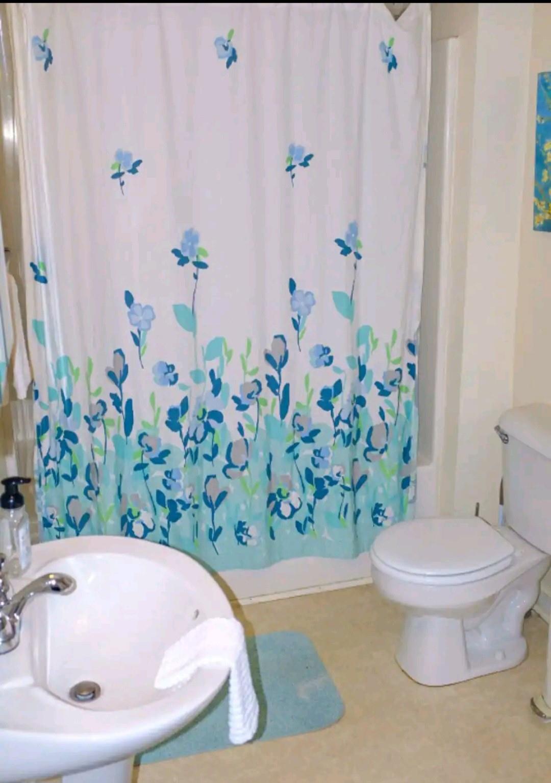 334 Hillside Street Asheville NC 28801