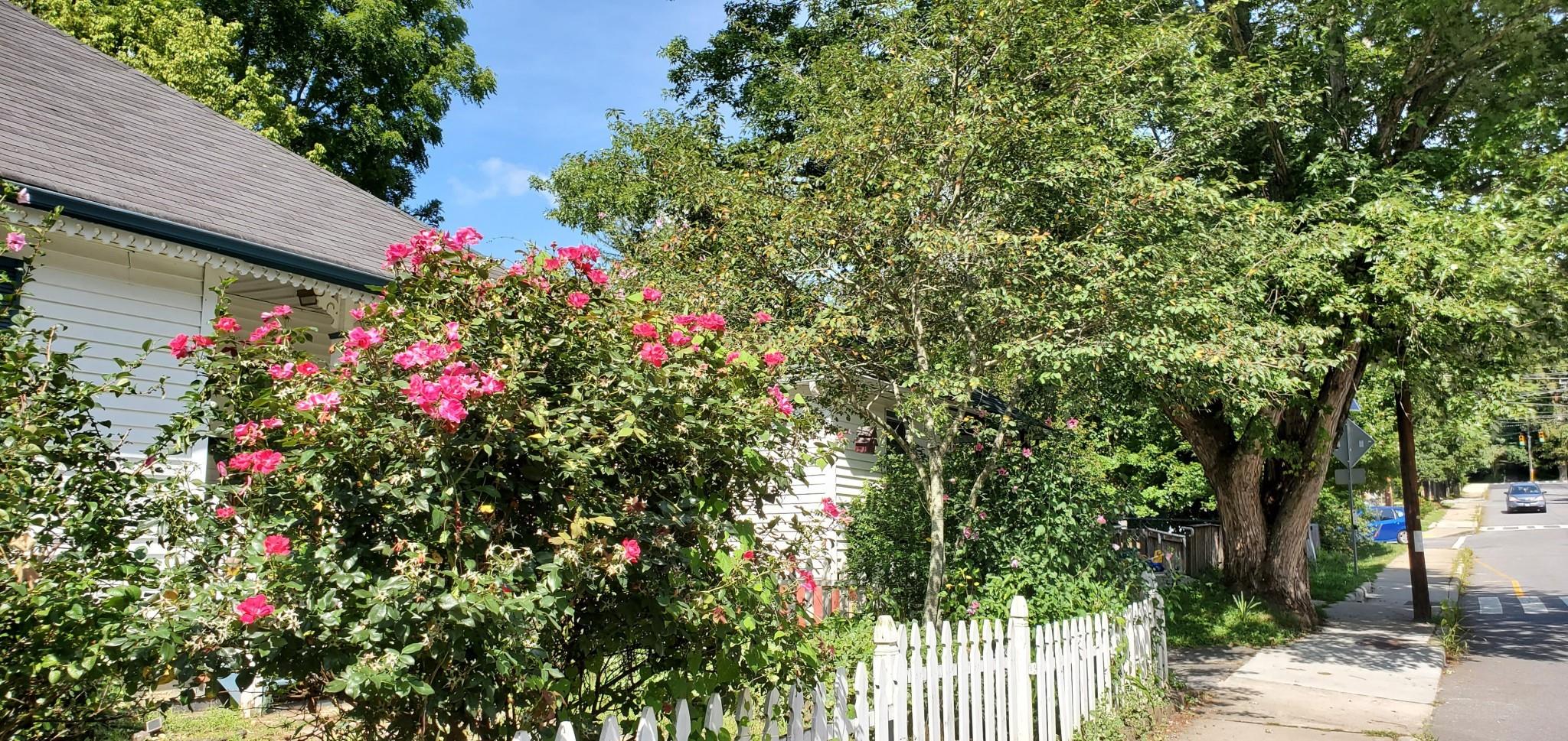 334 Hillside Street Asheville NC 28801