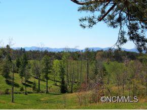 38 Hillcreek Drive Asheville NC 28804