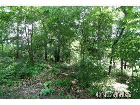 50 Ferncliff Drive Asheville NC 28805