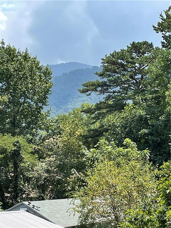 29 Old Stagecoach Road Swannanoa NC 28778