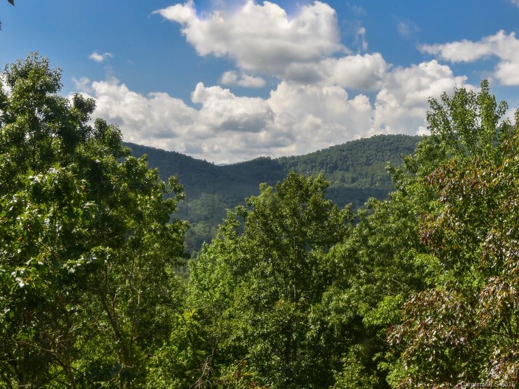 118 Honey Locust Drive Mills River NC 28759