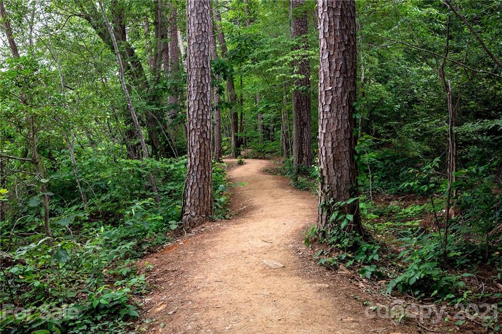 11 Reynolds Place Asheville NC 28804