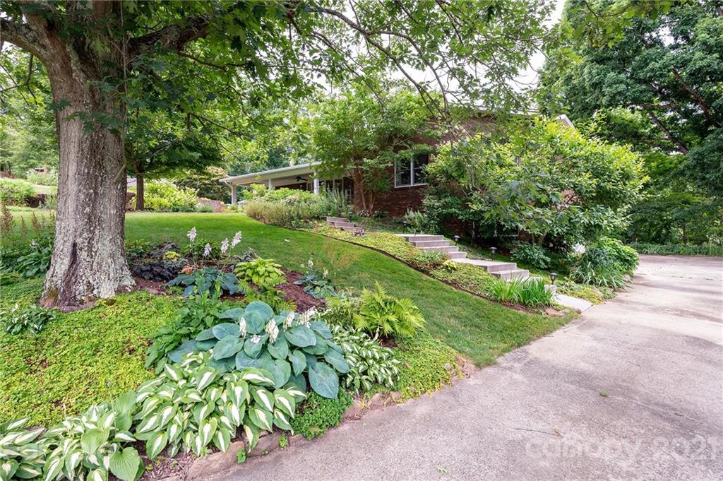 11 Reynolds Place Asheville NC 28804