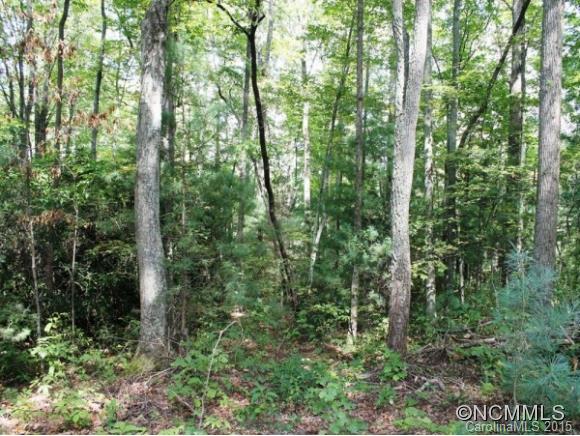 193 Mountain Laurel Lane Fletcher NC 28732