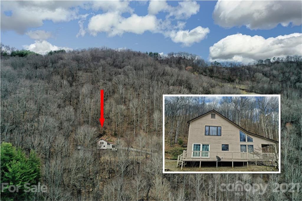 1299 Burnette Cove Road Canton NC 28716