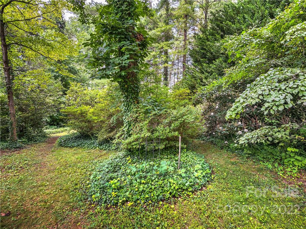 10 Stockwood Road Asheville NC 28803