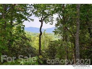 936 Mills River Way Horse Shoe NC 28742