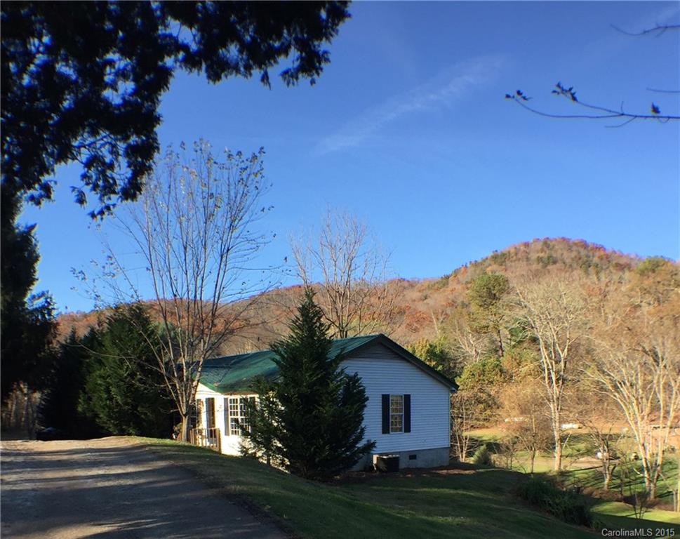 38 Hudson Hollow Horse Shoe NC 28742