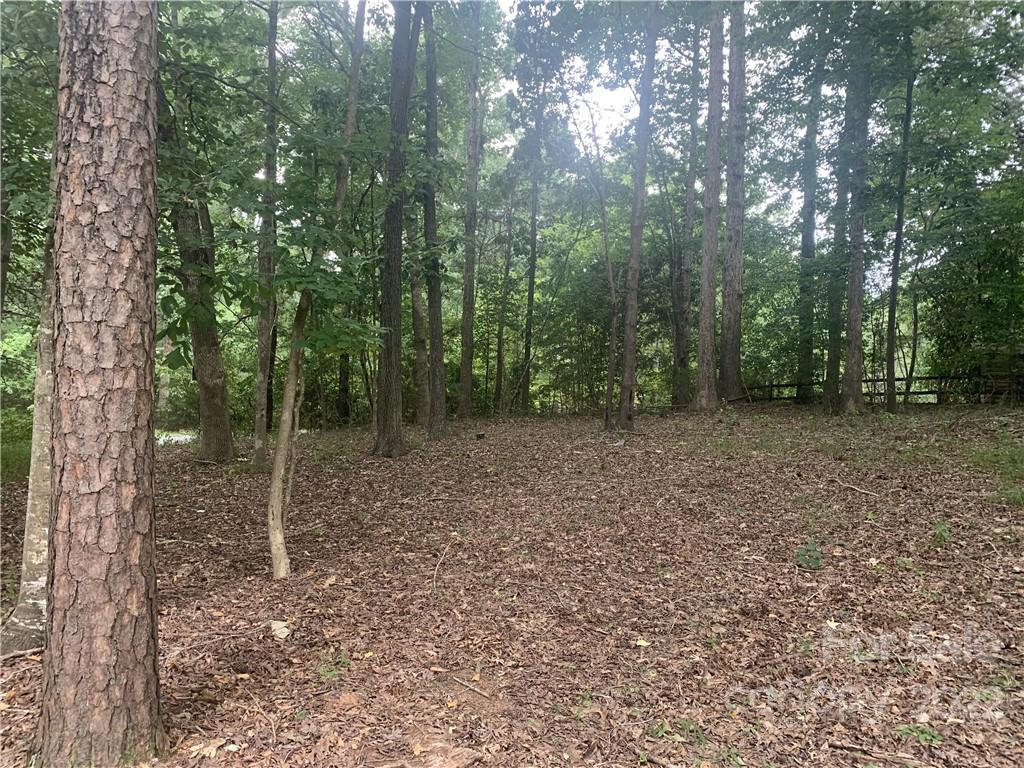 6613 Forest Green Drive Waxhaw NC 28173