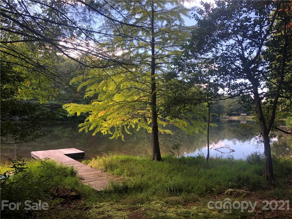 160 Grouse Lane Brevard NC 28712
