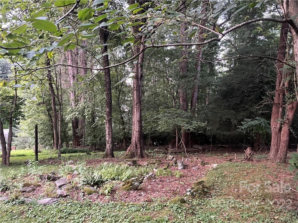 53 Merion Drive Asheville NC 28806