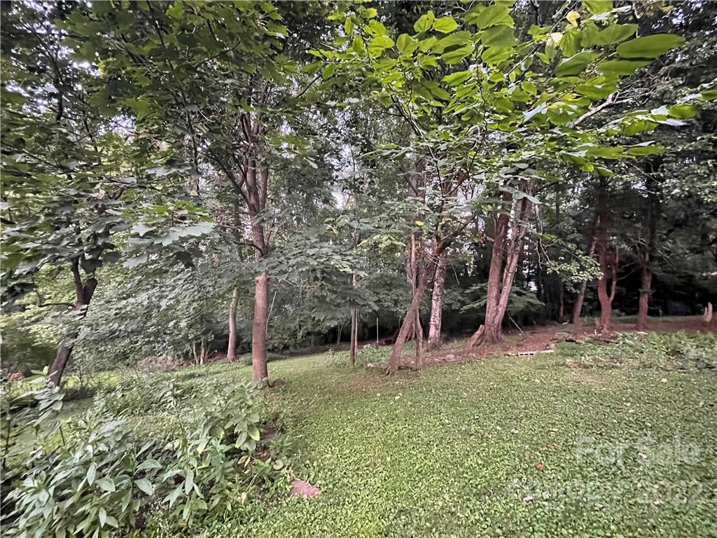 53 Merion Drive Asheville NC 28806